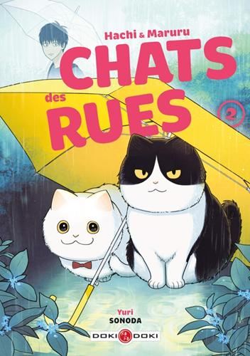 Chats des rues -2-