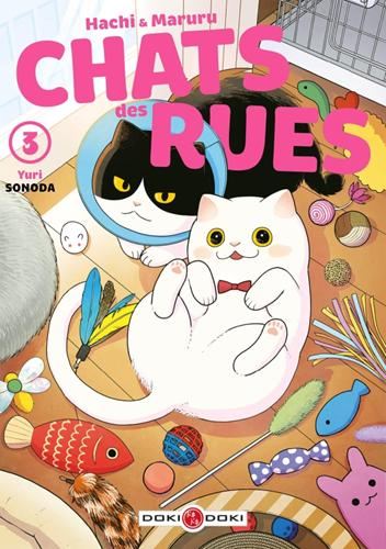 Chats des rues -3-