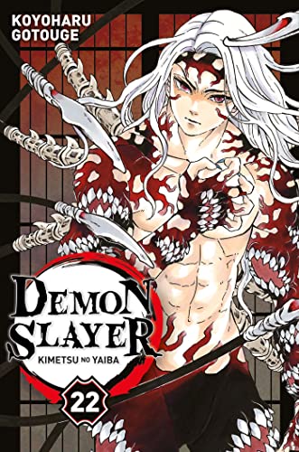 Demon slayer -22-