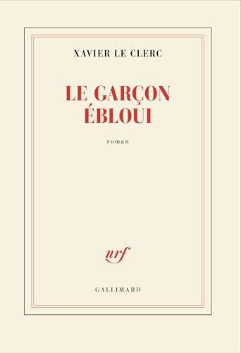Le Garçon ébloui